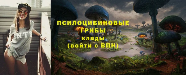 дмт Верхний Тагил