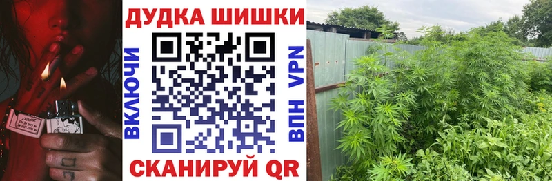 Купить  Шарья  Канабис марихуана 